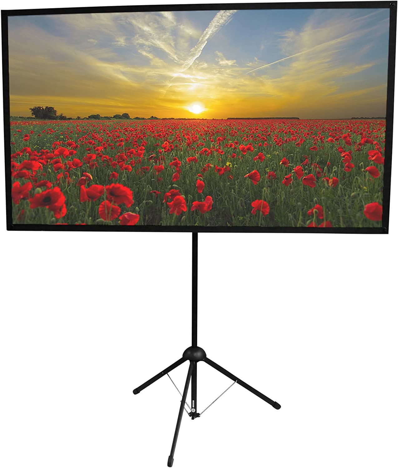 Go-60 Portable Projector Screen