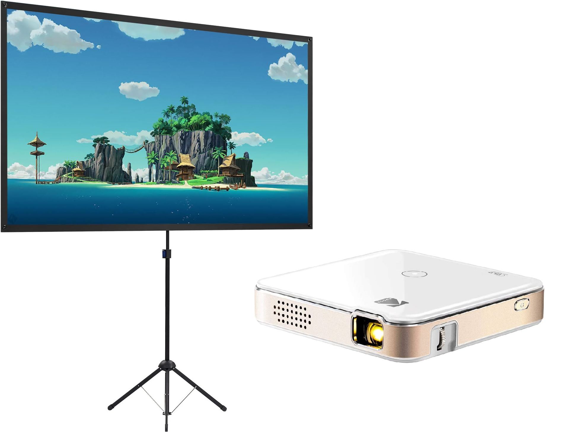 Portable screen and projector combo